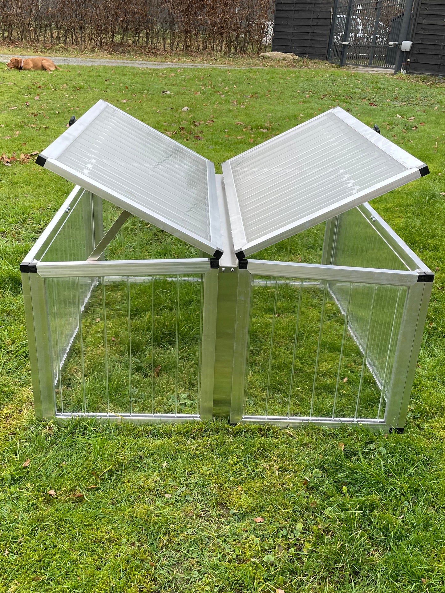 Schildkröten-Frühbeet casa (125 x 125 cm) ALLTOP - Satteldach, beide Deckel offen