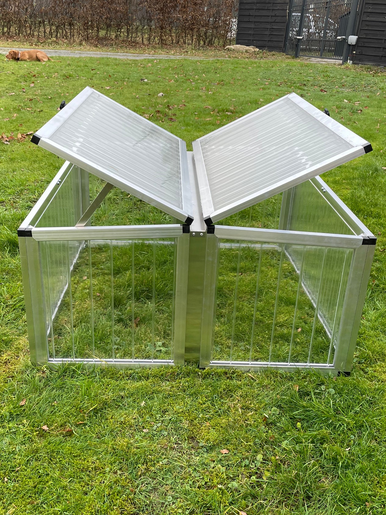 Schildkröten-Frühbeet casa (125 x 125 cm) ALLTOP - Satteldach, beide Deckel offen