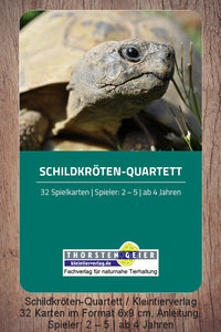 Schildkröten-Quartett Vorderseite