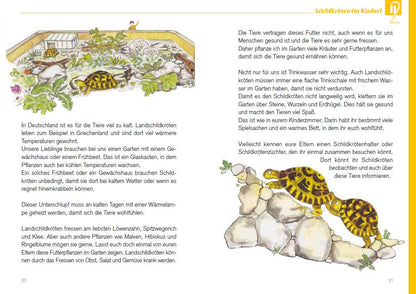 Schildkröten für Kinder