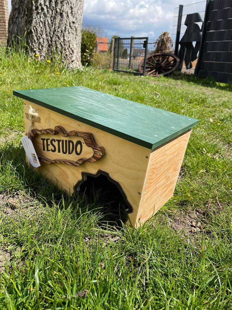 Schildkröten-Schutzhaus