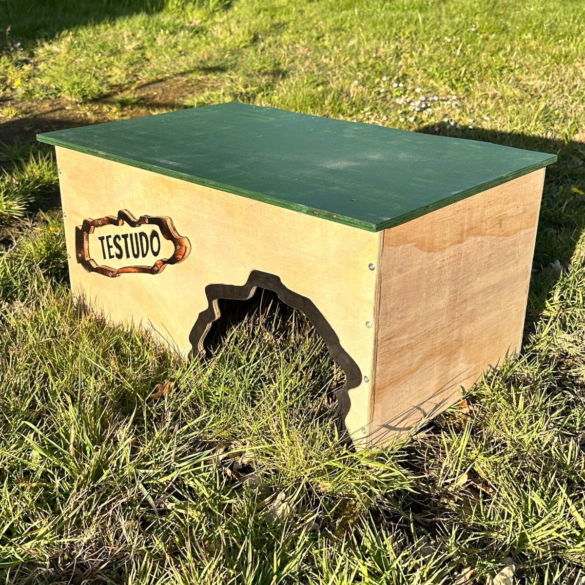 Holzhaus Testudo
