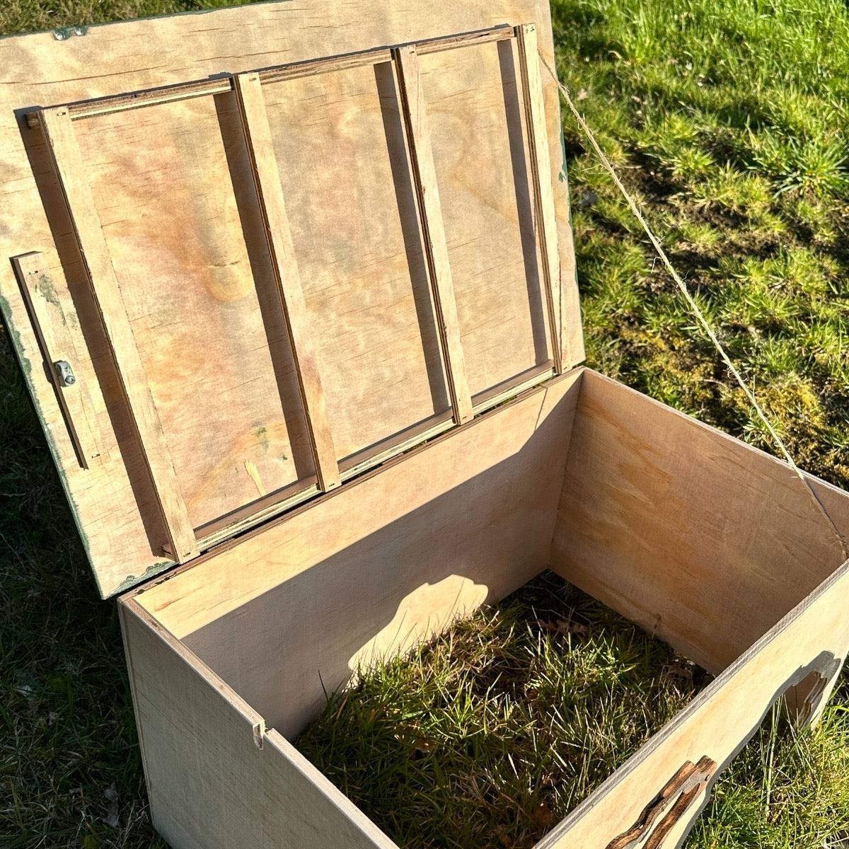 Schutzhütte für Schildkröten - Innenansicht