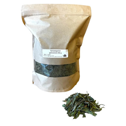 Spitzwegerich getrocknet für Landschildkröten