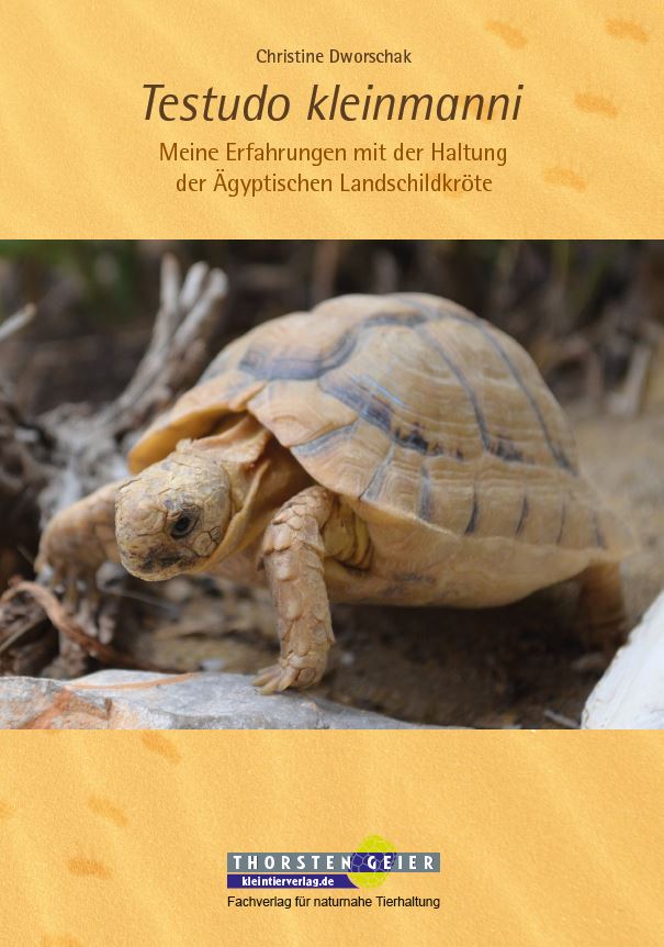 Testudo kleinmanni - Original Cover