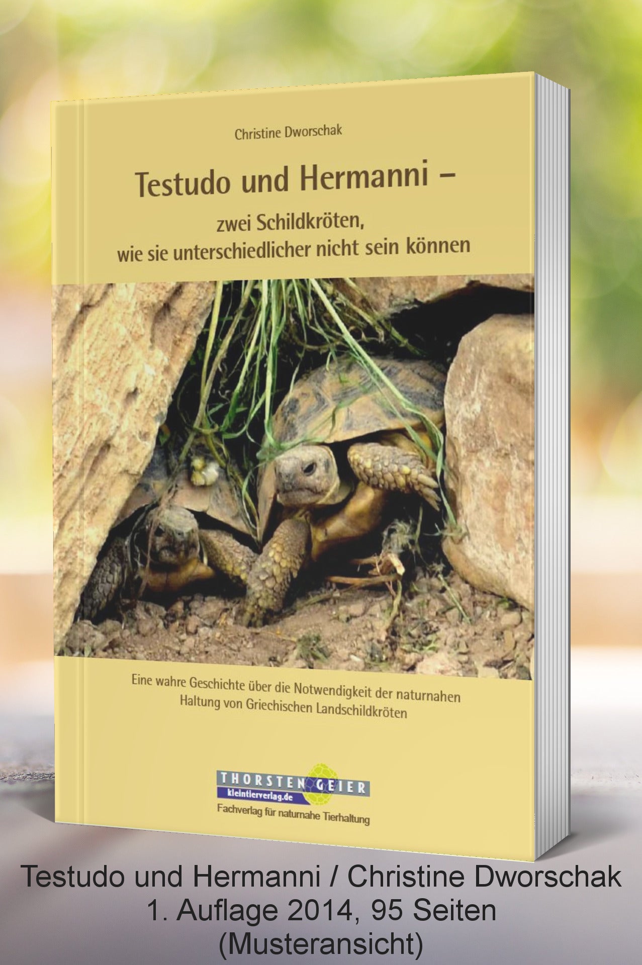 Testudo und Hermanni - Cover