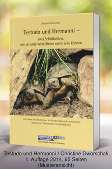 Testudo und Hermanni - Cover