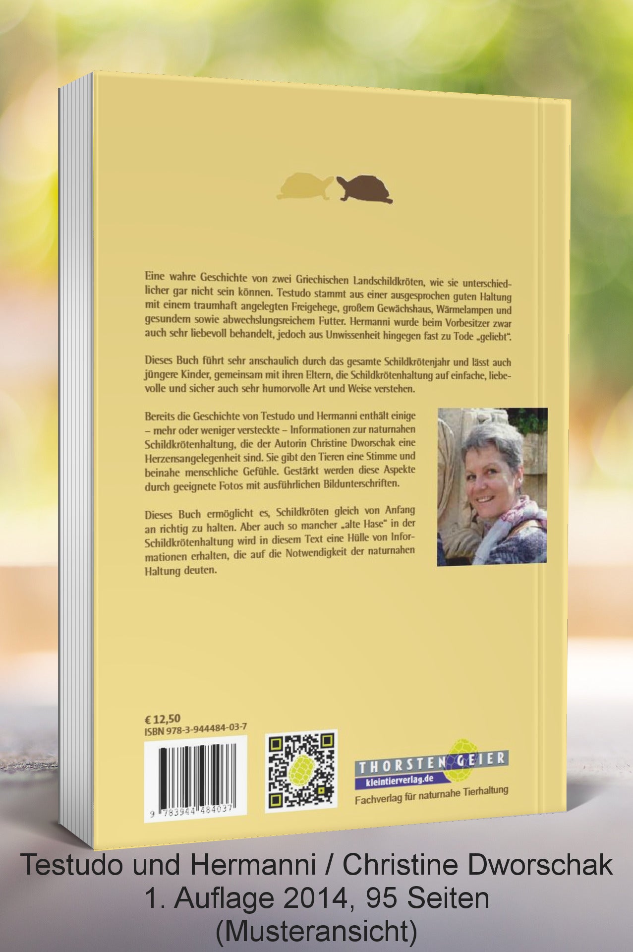 Testudo und Hermanni - Rückseite
