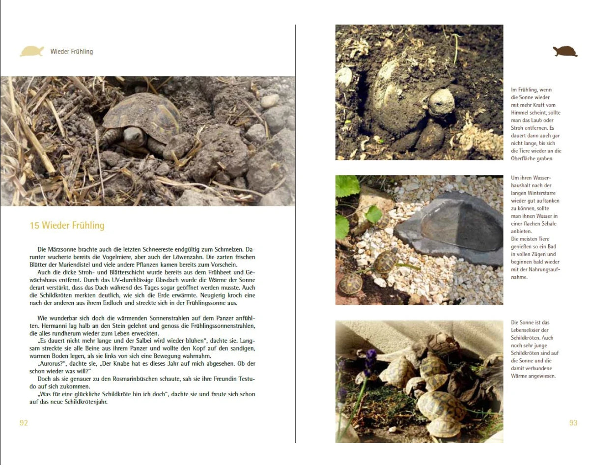 Testudo und Hermanni - Wieder Frühling