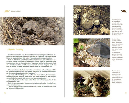 Testudo und Hermanni - Wieder Frühling