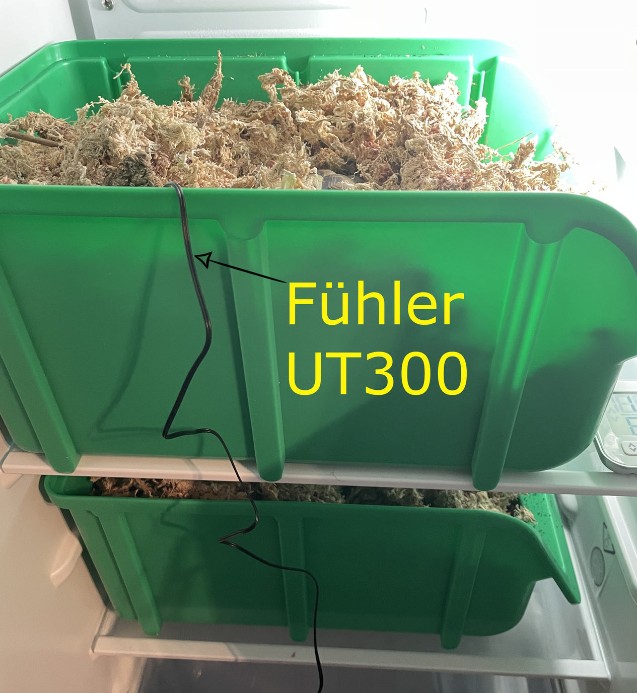 Fühler des UT300 im Kühlschrank