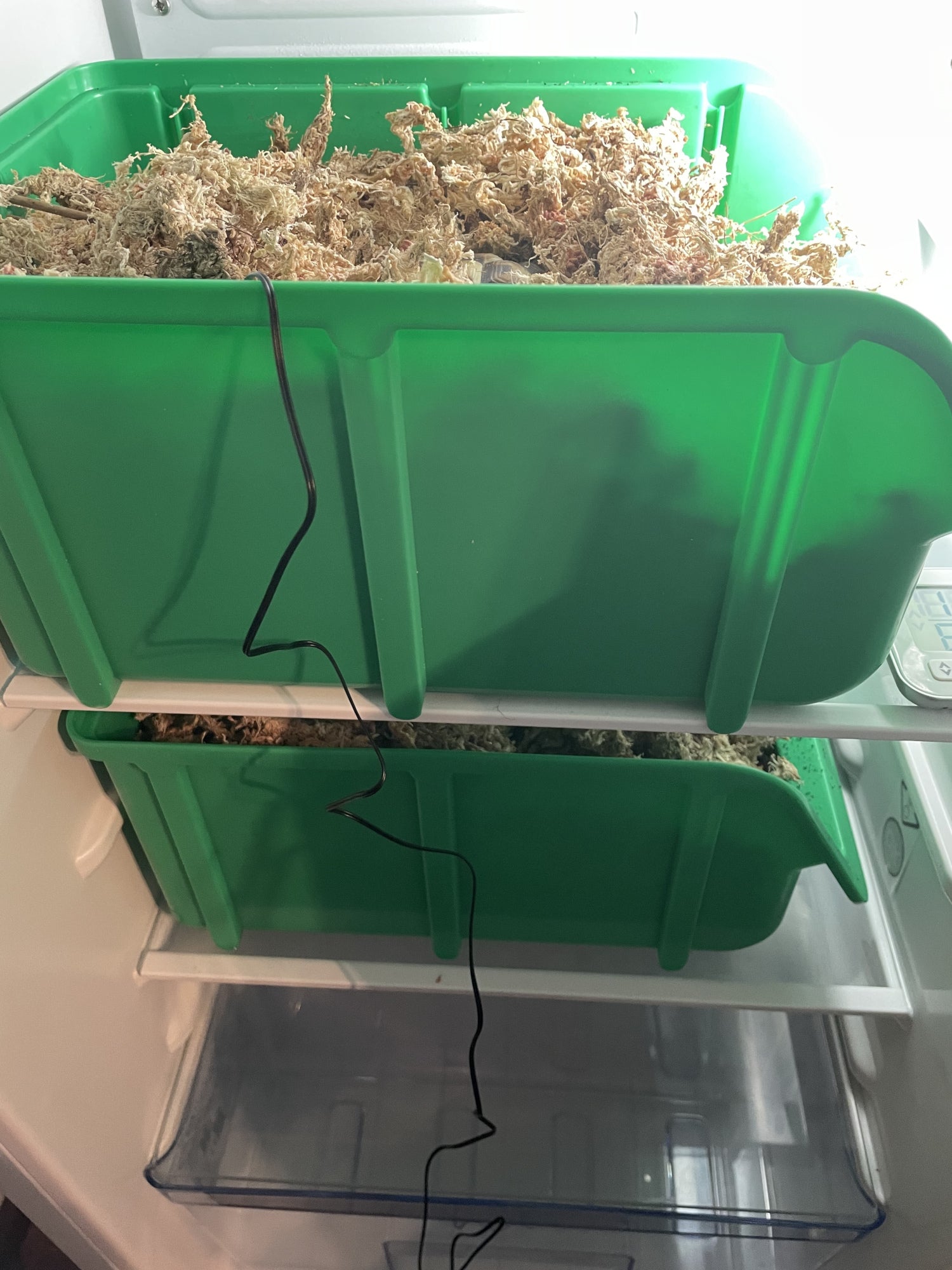 Überwinterungsbox Schildkröten