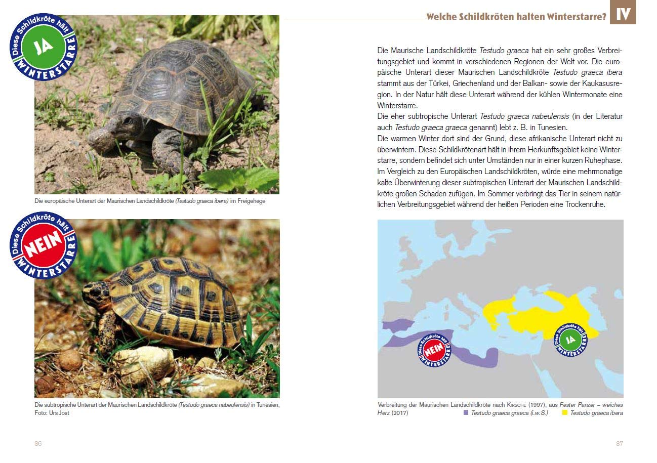 Welche Schildkröten