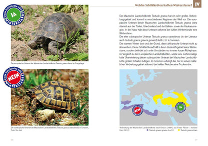 Welche Schildkröten