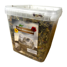 Wilde Blumenwiese - 100 Prozent natürliches Schildkrötenfutter