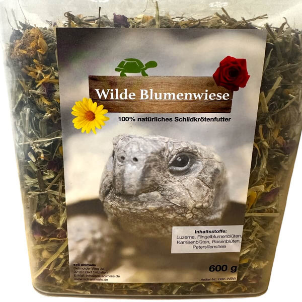 Wilde Blumenwiese - Wiesenkräuter Schildkröten-Futtermischung