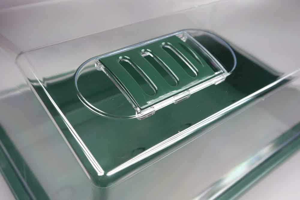 Zimmergewächshaus für Schildkröten-Futterpflanzen mit Öffnungsschlitzen