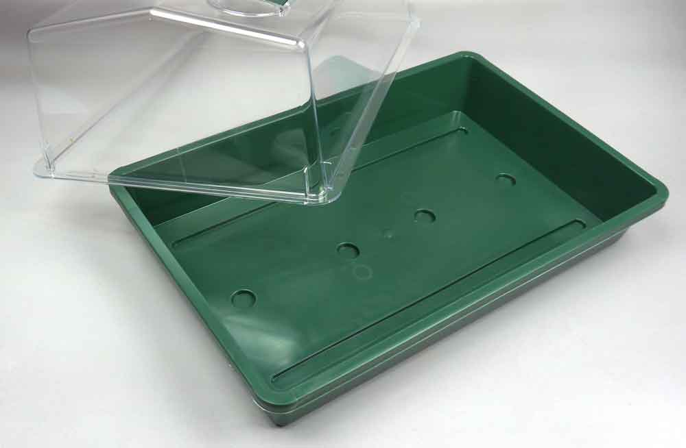 Zimmergewächshaus für die Keimung von Saatgut