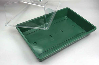 Zimmergewächshaus für die Keimung von Saatgut